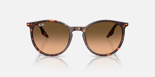 Ray-Ban® RB2204™ Sunglasses - Polished Havana Red Turtle Frame/Pink Gradient Black Lenses