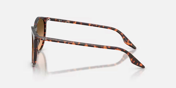 Ray-Ban® RB2204™ Sunglasses - Polished Havana Red Turtle Frame/Pink Gradient Black Lenses