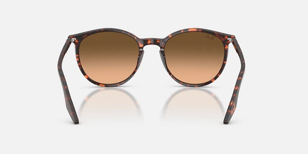 Ray-Ban® RB2204™ Sunglasses - Polished Havana Red Turtle Frame/Pink Gradient Black Lenses