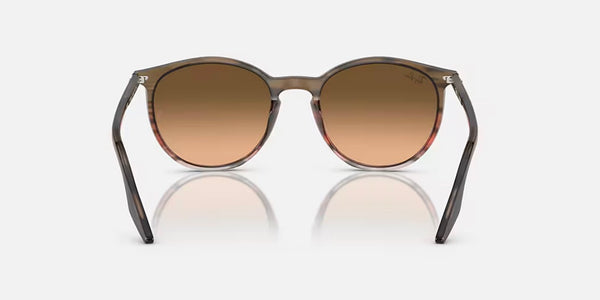 Ray-Ban® RB2204™ Sunglasses - Polished Striped Brown & Red Frame/Pink-Black Lenses
