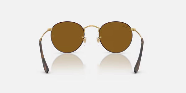 Ray-Ban® Round Metal™ Sunglasses - Matte Havana on Matte Arista Gold Frame/Brown Lenses
